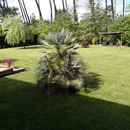 Chambre D'Hotes Les Iris A Mios Sur Le Bassin D'Arcachon Екстериор снимка