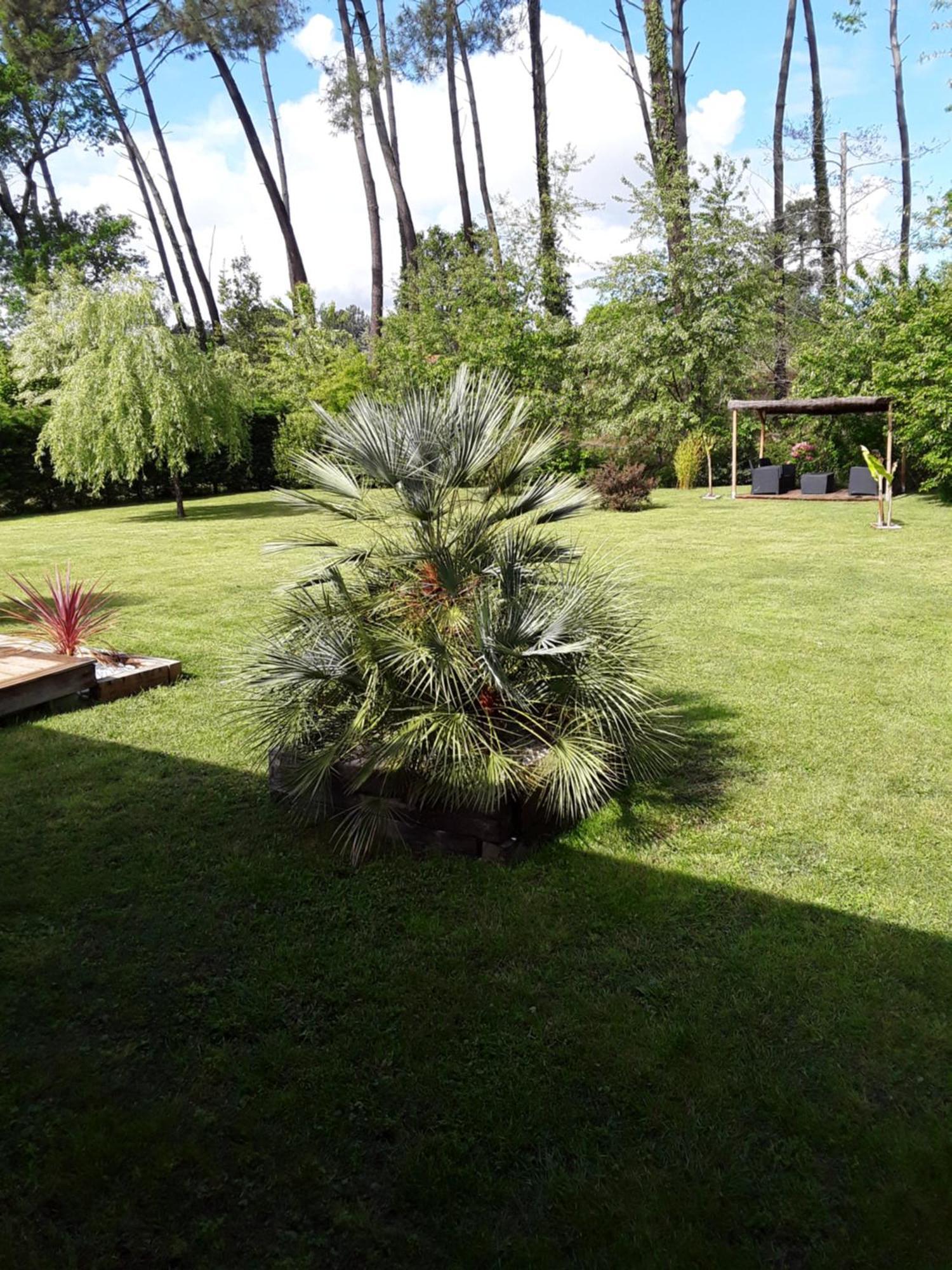 Chambre D'Hotes Les Iris A Mios Sur Le Bassin D'Arcachon Екстериор снимка